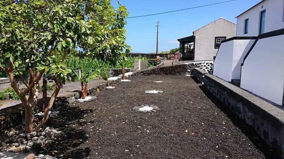 Azores Black Mountain House, Estudio E T2 Ilha Do Pico São Roque do Pico Kültér fotó